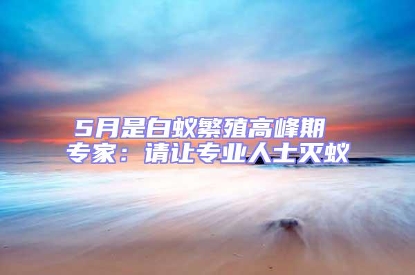 5月是白蟻繁殖高峰期 專家：請讓專業人士滅蟻