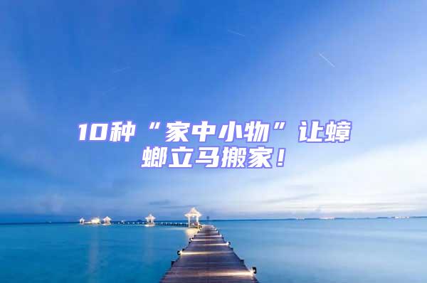 10種“家中小物”讓蟑螂立馬搬家！