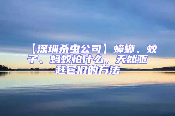【深圳殺蟲公司】蟑螂、蚊子、螞蟻怕什么，天然驅趕它們的方法