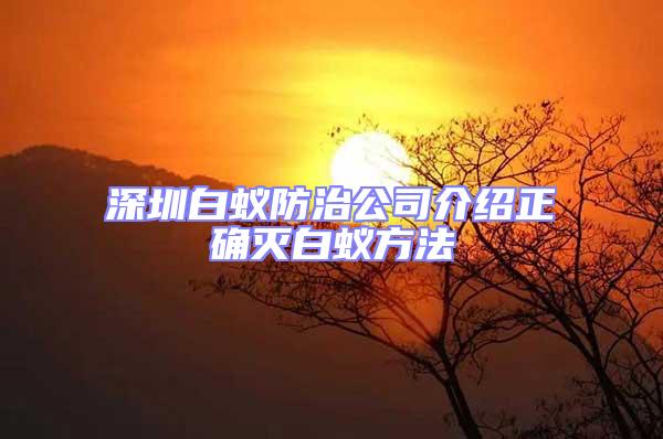 深圳白蟻防治公司介紹正確滅白蟻方法