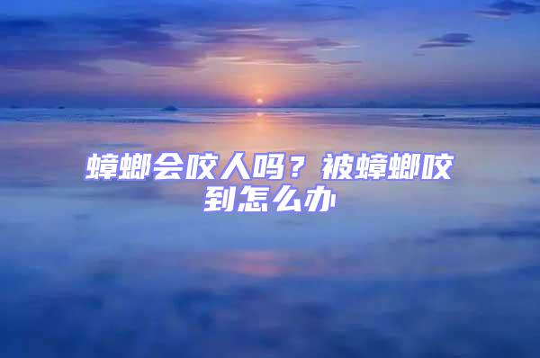 蟑螂會咬人嗎？被蟑螂咬到怎么辦