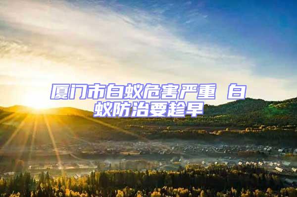 廈門市白蟻危害嚴重 白蟻防治要趁早