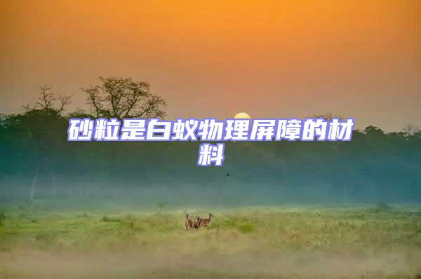 砂粒是白蟻物理屏障的材料