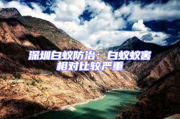 深圳白蟻防治：白蟻蟻害相對比較嚴重