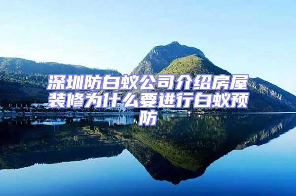 深圳防白蟻公司介紹房屋裝修為什么要進行白蟻預防