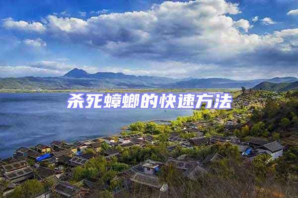 殺死蟑螂的快速方法