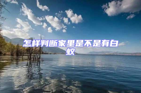 怎樣判斷家里是不是有白蟻