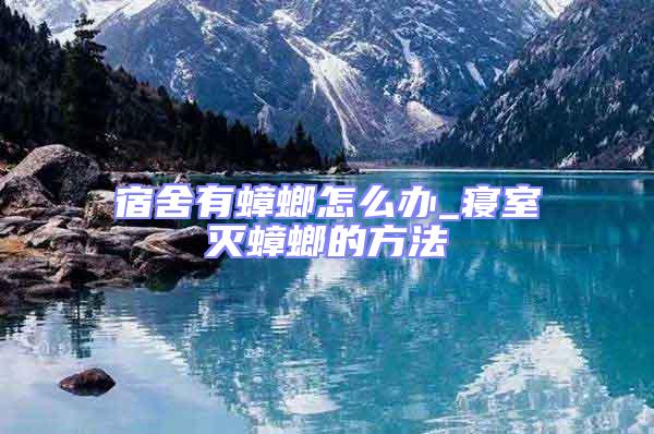 宿舍有蟑螂怎么辦_寢室滅蟑螂的方法