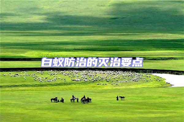 白蟻防治的滅治要點