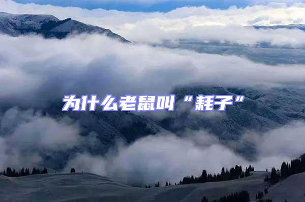 為什么老鼠叫“耗子”
