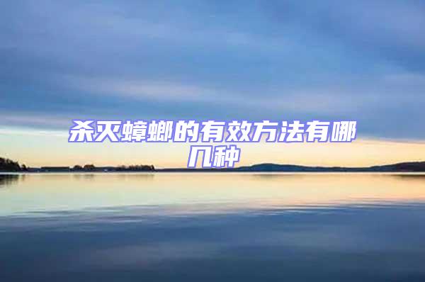 殺滅蟑螂的有效方法有哪幾種