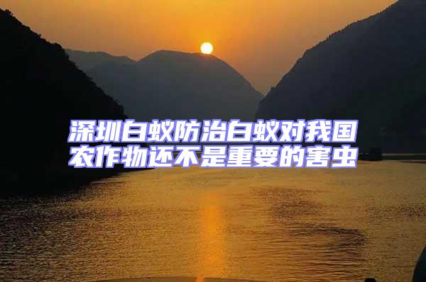 深圳白蟻防治白蟻對我國農作物還不是重要的害蟲