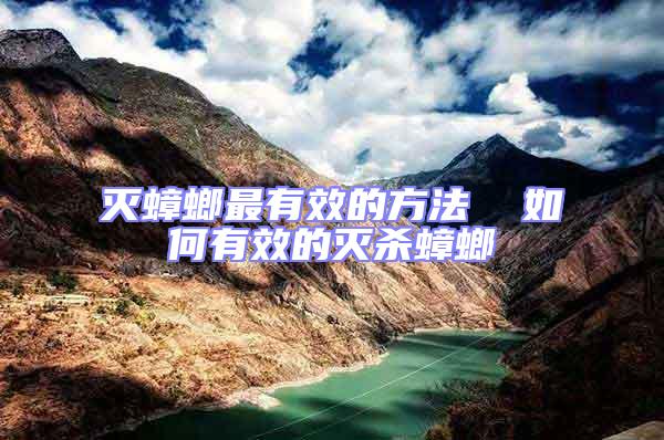 滅蟑螂最有效的方法  如何有效的滅殺蟑螂