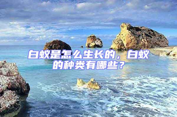 白蟻是怎么生長的，白蟻的種類有哪些？