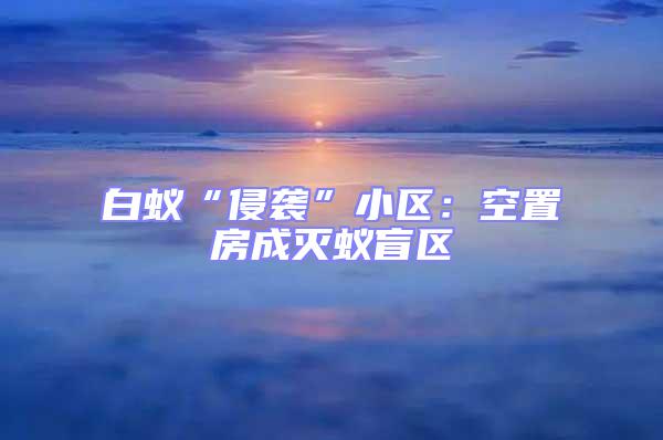 白蟻“侵襲”小區：空置房成滅蟻盲區