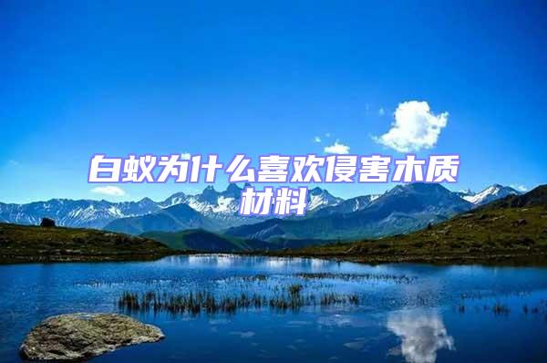 白蟻為什么喜歡侵害木質材料