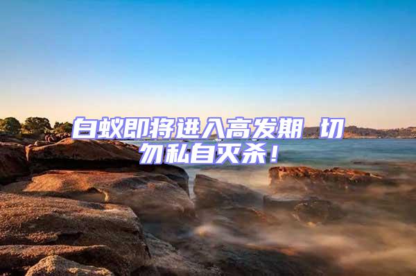 白蟻即將進(jìn)入高發(fā)期 切勿私自滅殺！