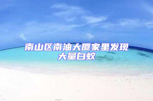 南山區(qū)南油大廈家里發(fā)現(xiàn)大量白蟻