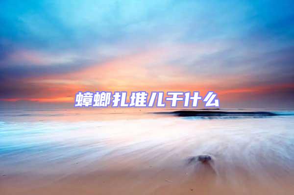 蟑螂扎堆兒干什么