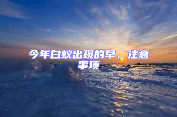 今年白蟻出現的早，注意事項