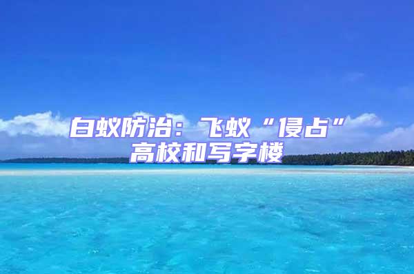 白蟻防治：飛蟻“侵占”高校和寫字樓