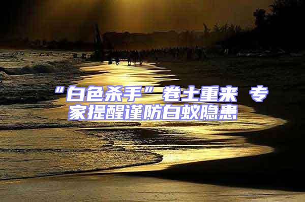 “白色殺手”卷土重來 專家提醒謹防白蟻隱患