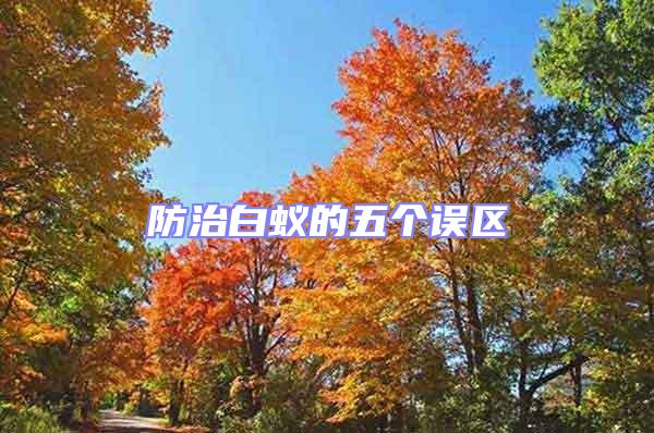 防治白蟻的五個(gè)誤區(qū)