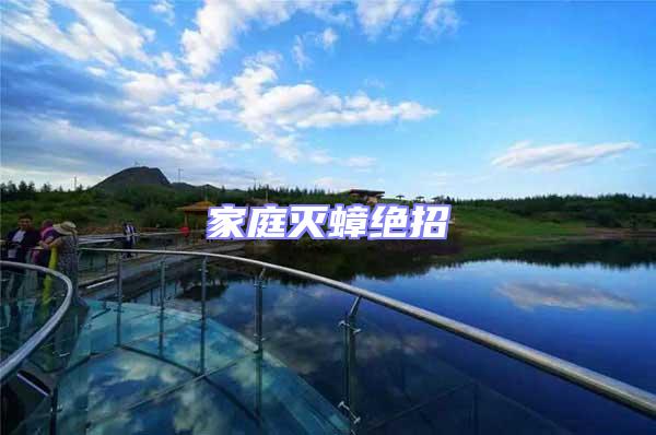 家庭滅蟑絕招