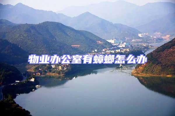 物業辦公室有蟑螂怎么辦