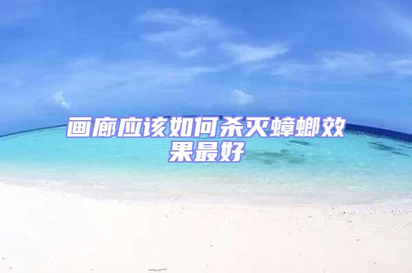畫廊應該如何殺滅蟑螂效果最好