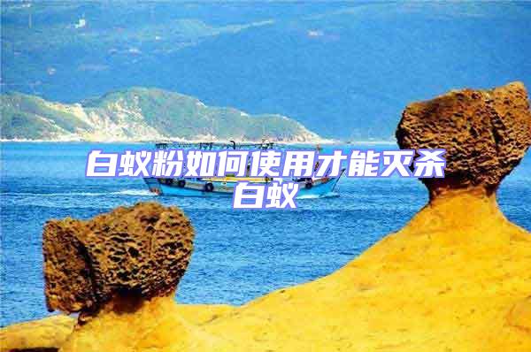 白蟻粉如何使用才能滅殺白蟻