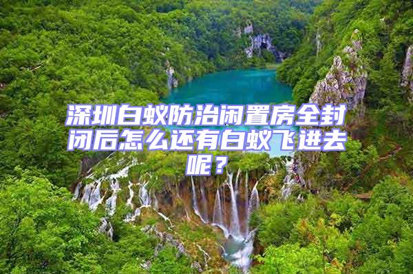深圳白蟻防治閑置房全封閉后怎么還有白蟻飛進(jìn)去呢？