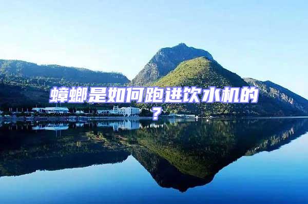 蟑螂是如何跑進(jìn)飲水機(jī)的？