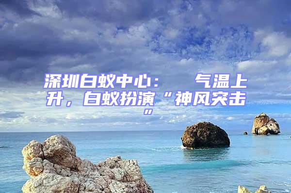 深圳白蟻中心：  氣溫上升，白蟻扮演“神風突擊”