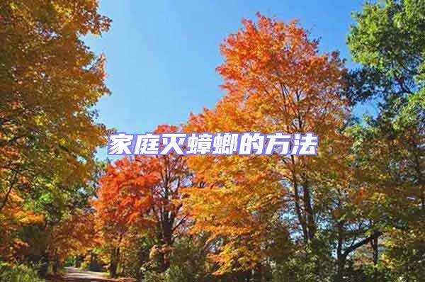 家庭滅蟑螂的方法