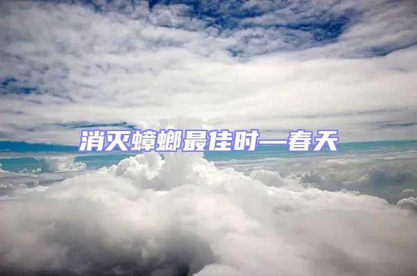 消滅蟑螂最佳時—春天