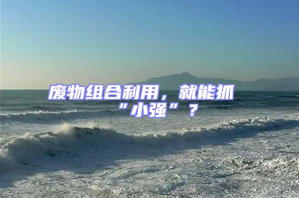 廢物組合利用，就能抓“小強”？