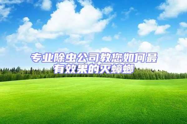 專業除蟲公司教您如何最有效果的滅蟑螂