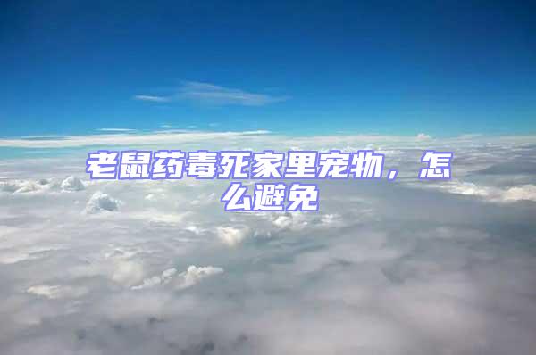 老鼠藥毒死家里寵物，怎么避免