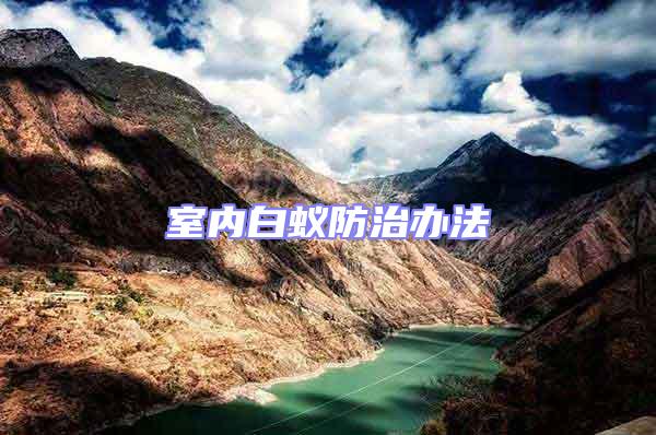 室內(nèi)白蟻防治辦法