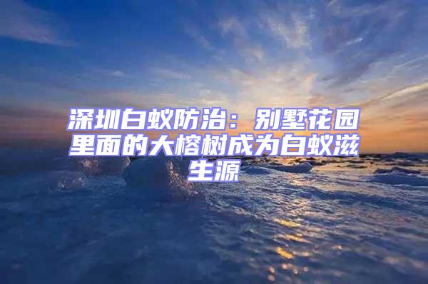 深圳白蟻防治：別墅花園里面的大榕樹成為白蟻滋生源