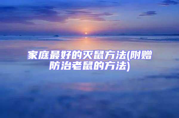 家庭最好的滅鼠方法(附贈防治老鼠的方法)