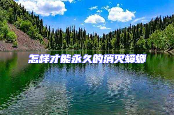 怎樣才能永久的消滅蟑螂