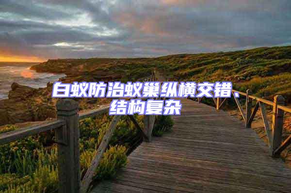 白蟻防治蟻巢縱橫交錯、結構復雜