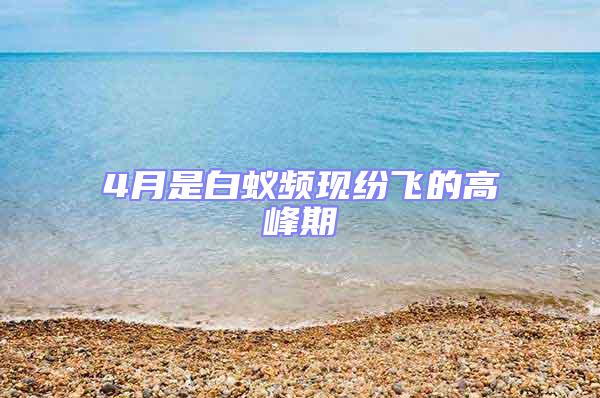 4月是白蟻頻現紛飛的高峰期