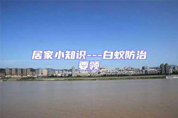 居家小知識---白蟻防治要領(lǐng)