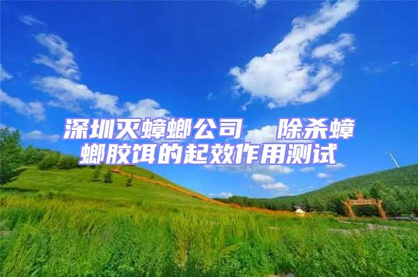 深圳滅蟑螂公司  除殺蟑螂膠餌的起效作用測試