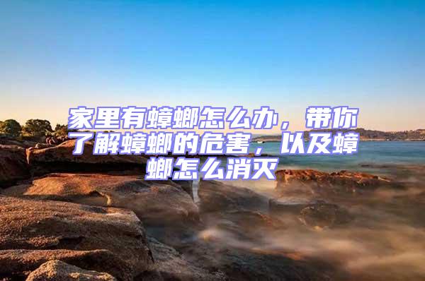 家里有蟑螂怎么辦，帶你了解蟑螂的危害，以及蟑螂怎么消滅