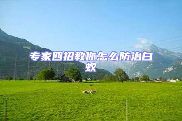 專家四招教你怎么防治白蟻