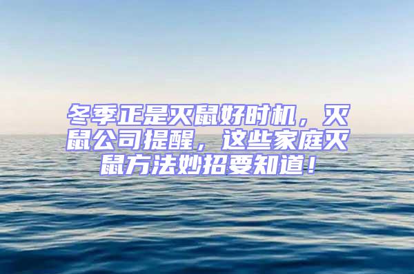 冬季正是滅鼠好時機，滅鼠公司提醒，這些家庭滅鼠方法妙招要知道！